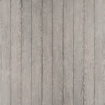 Jackdaw - White