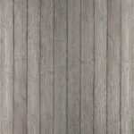 Jackdaw - Grey