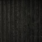 Jackdaw - Black